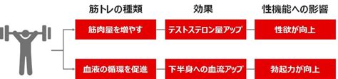 筋トレと性欲|精力を強くする筋トレ10選！20代の立ちとムラムラ。